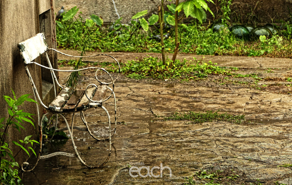 사진제공 - 박미애 사진가