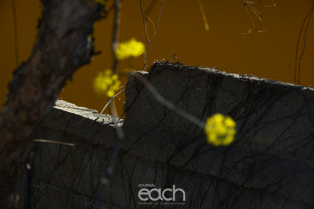 사진제공 - 박미애 사진가