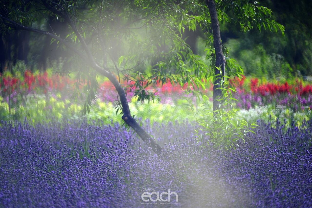 사진제공 - 박미애 사진가