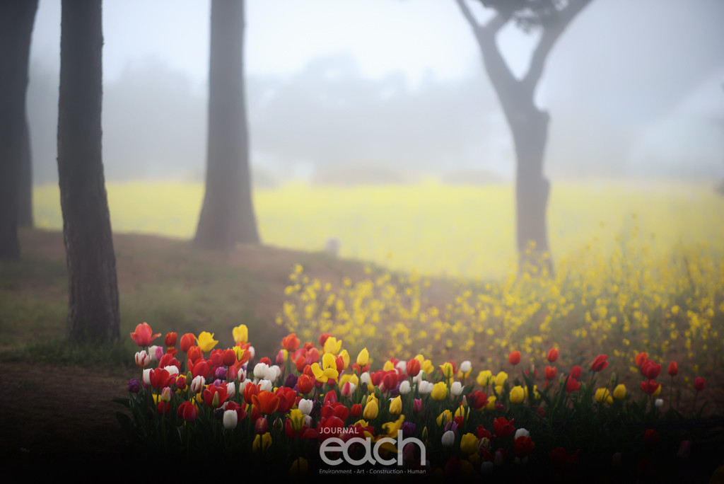 사진제공 - 박미애 사진가