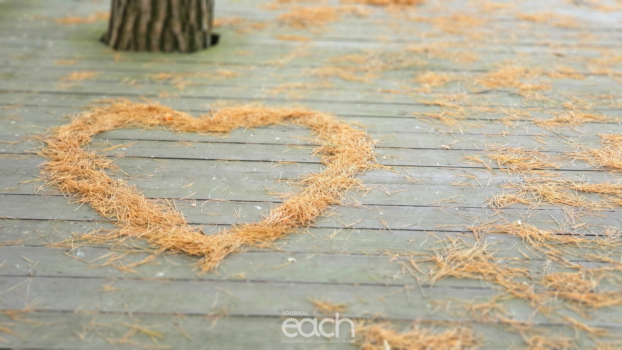 사진제공 - 박미애 사진가