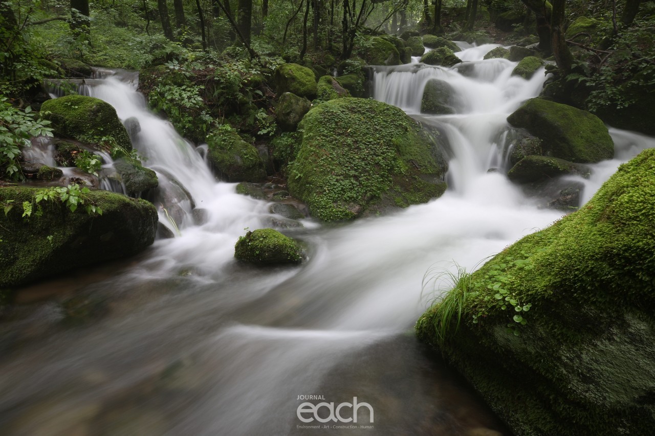 사진제공 - 김태훈 사진가