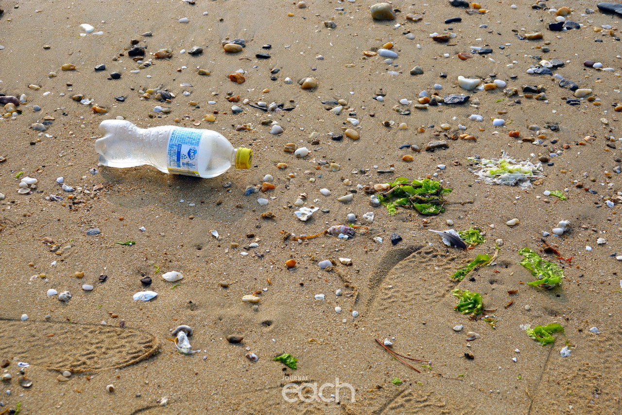 사진제공 - 박미애 사진가