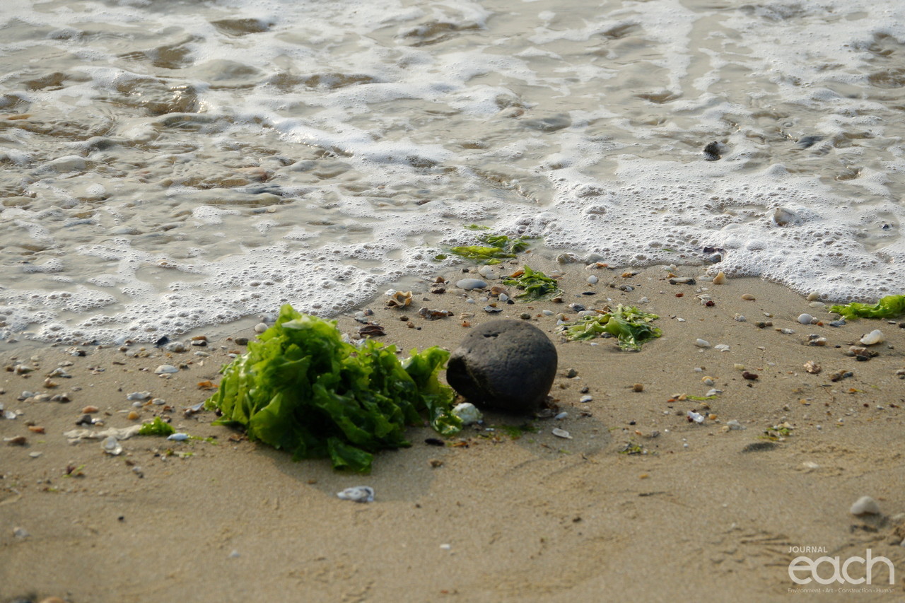 사진제공 - 박미애 사진가