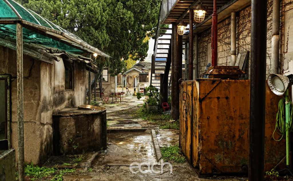 사진제공 - 박미애 사진가