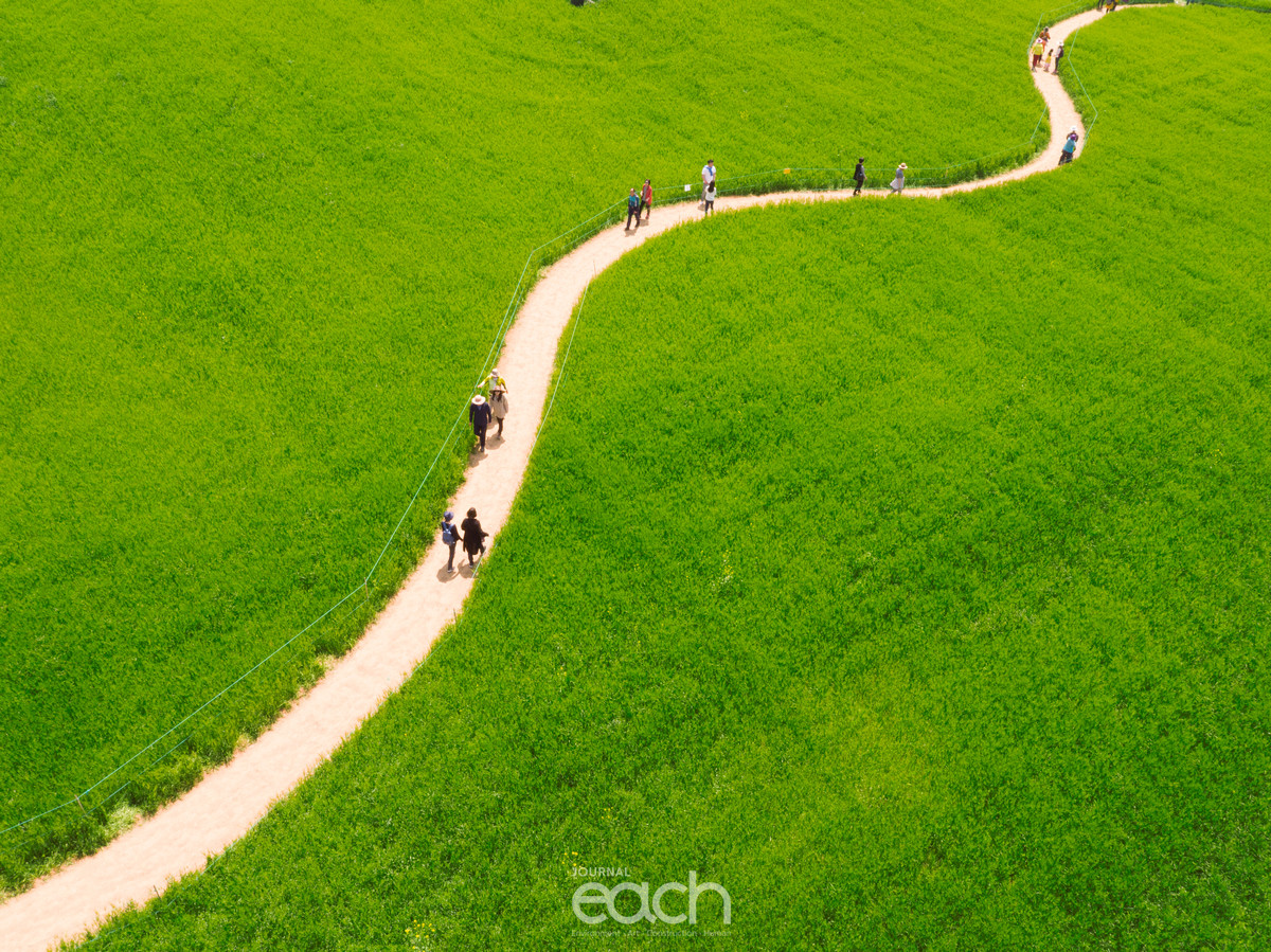 사진제공 - 박인배 사진가