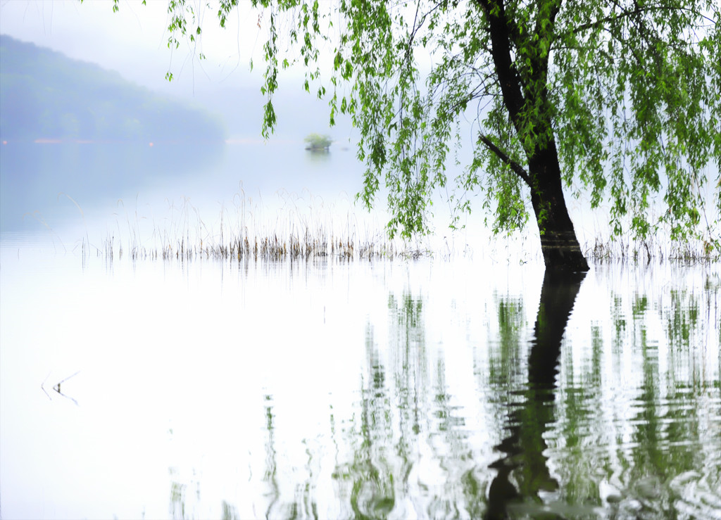 사진제공 -  박미애 사진가