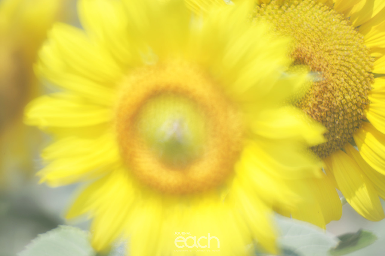 사진제공 - 박미애 사진가