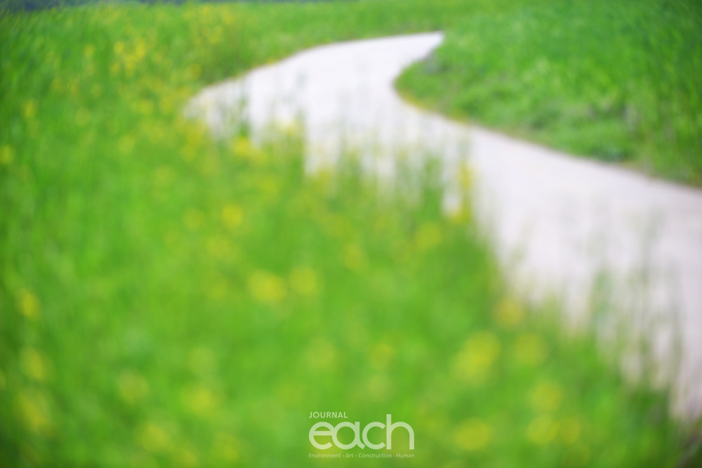 사진제공 - 박미애 사진가