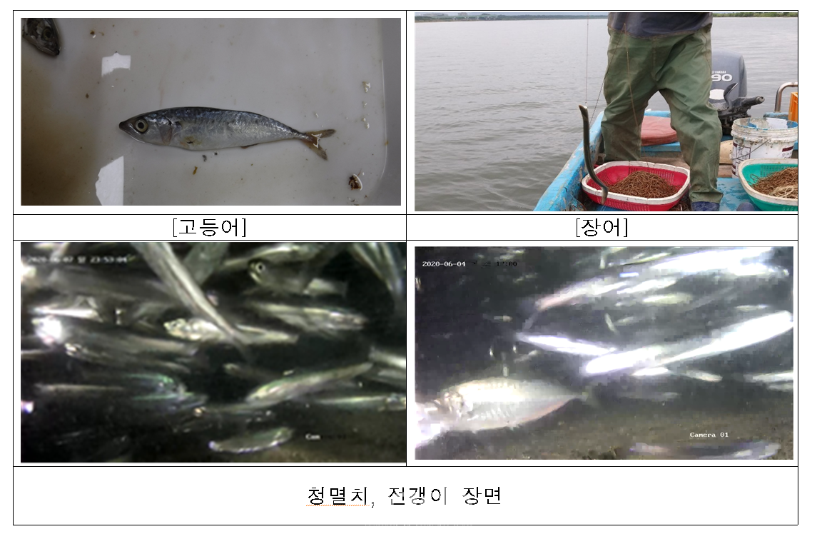 사진제공 - 환경부