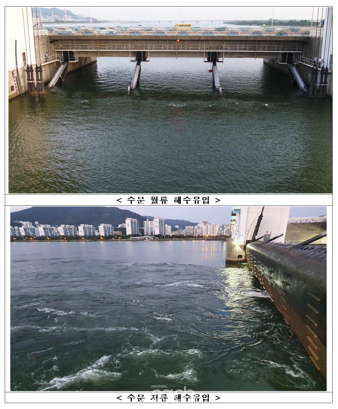 낙동강 하굿둑 수문 개방(사진제공 - 환경부)