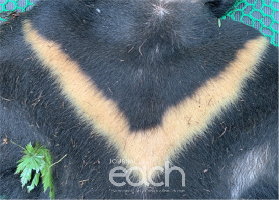 반달무늬(사진제공 - 국립공원공단)