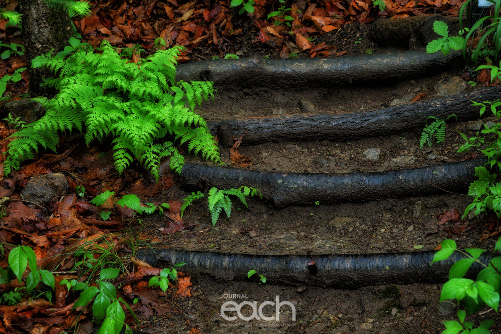 이미지제공 - 박미애 사진가