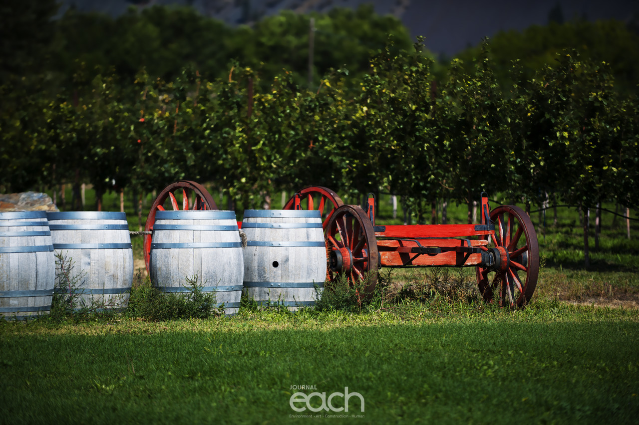 이미지제공 - 박미애 사진가