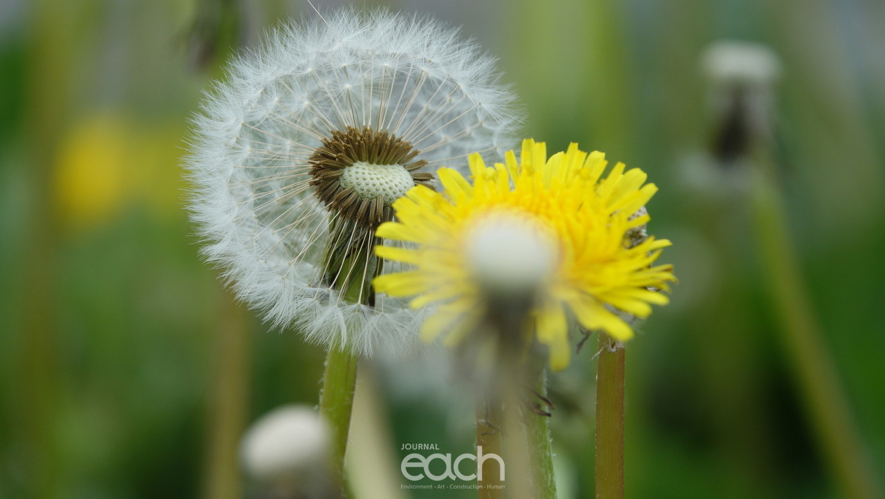 이미지제공 - 박미애 사진가