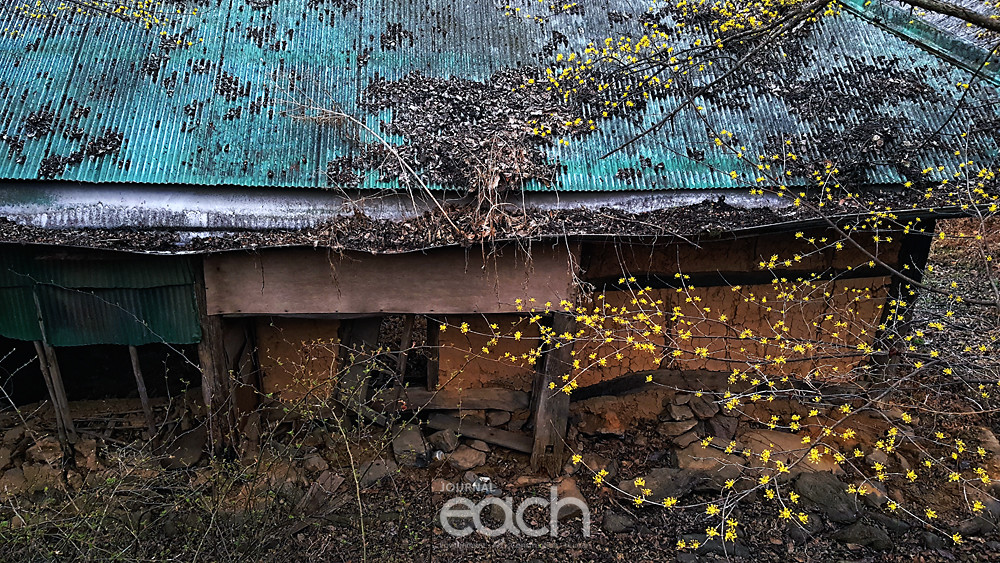 이미지제공 - 박미애 사지가