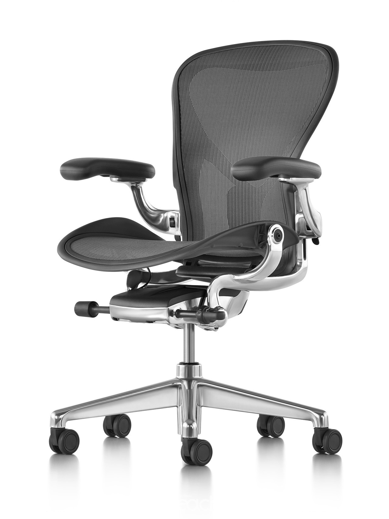 펠리클 메쉬 (Pellicle Mesh) 구성 조닝