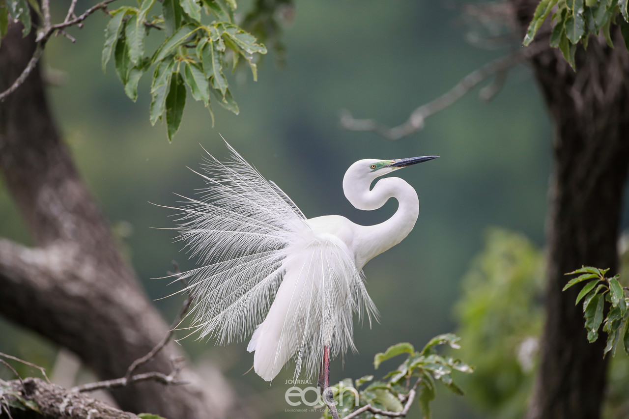 ​사진제공 - 문종복 사진가