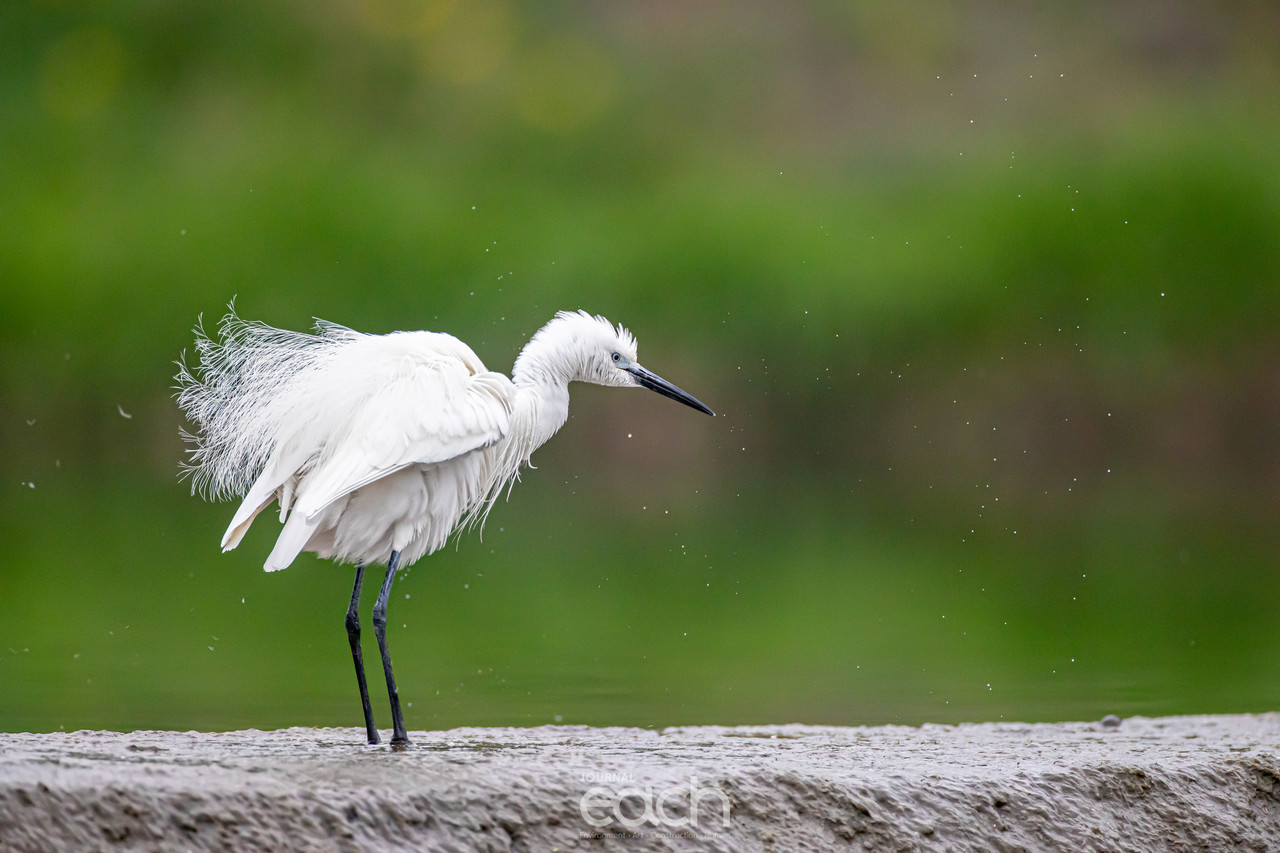 사진제공 - 문종복 사진가