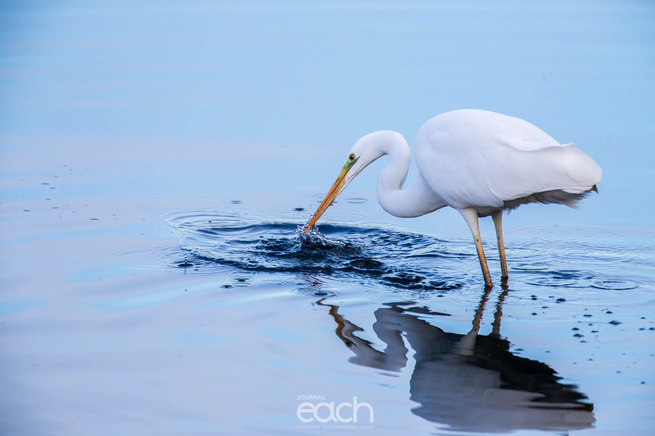 사진제공 - 문종복 사진가
