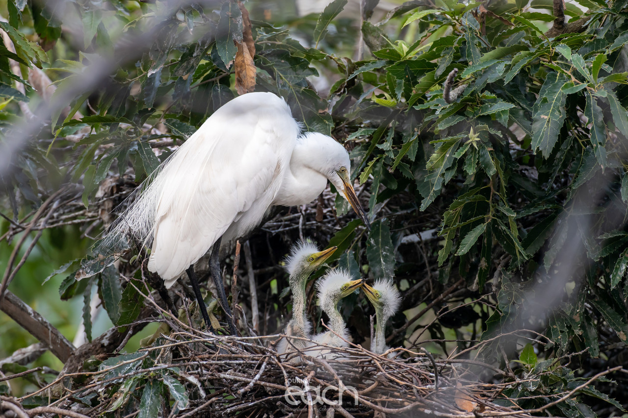 사진제공 - 문종복 사진가