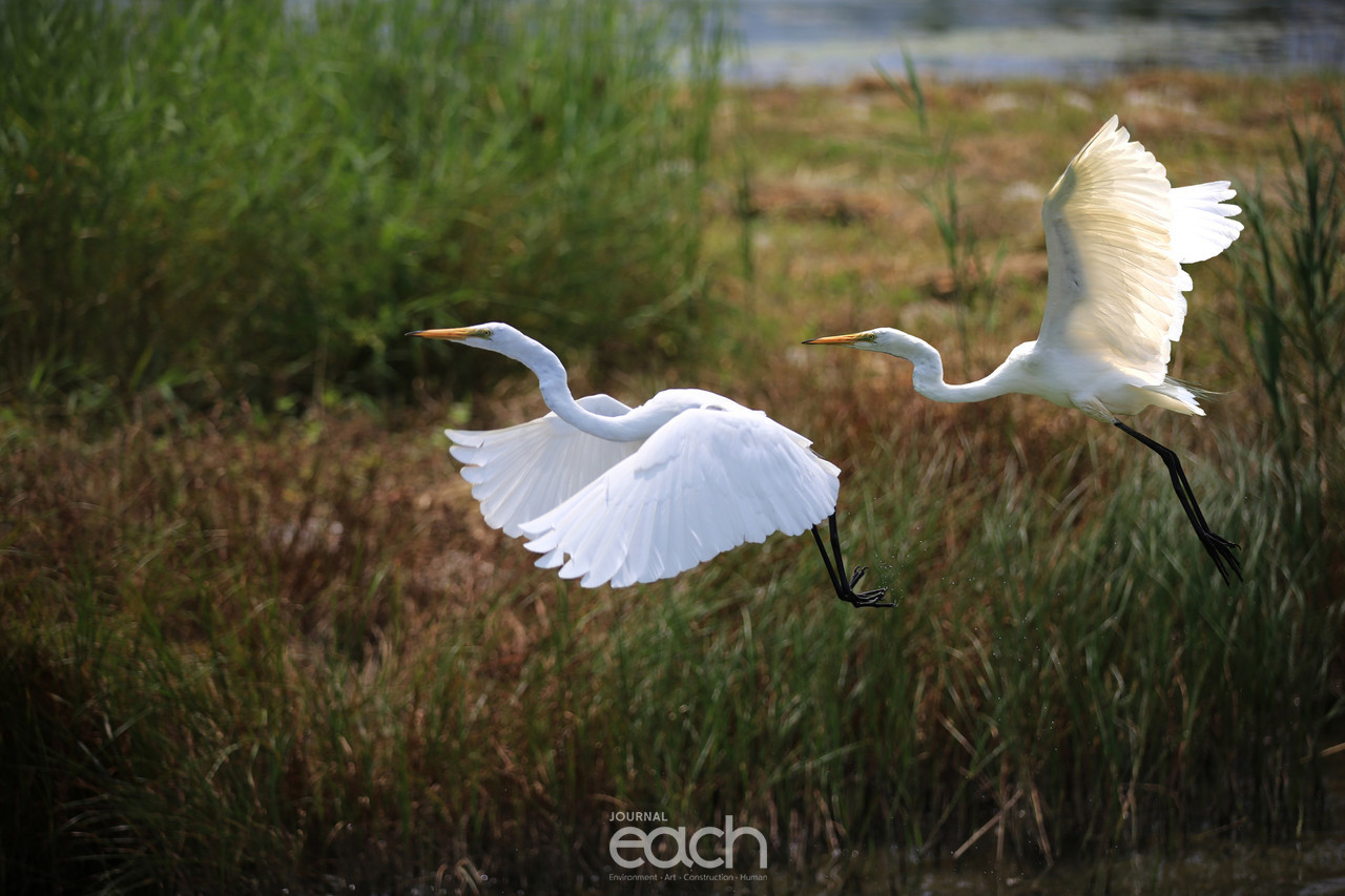 사진제공 - 문종복 사진가