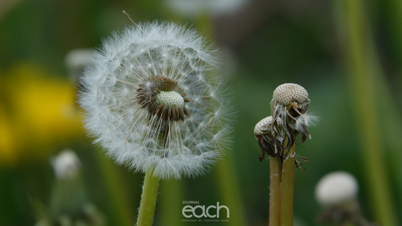 이미지제공 - 박미애 사진가