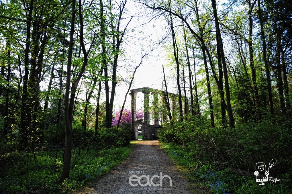 이미지제공 - 박미애 사진가