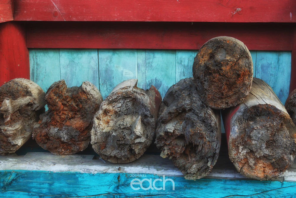 이미지제공 - 박미애 사진가