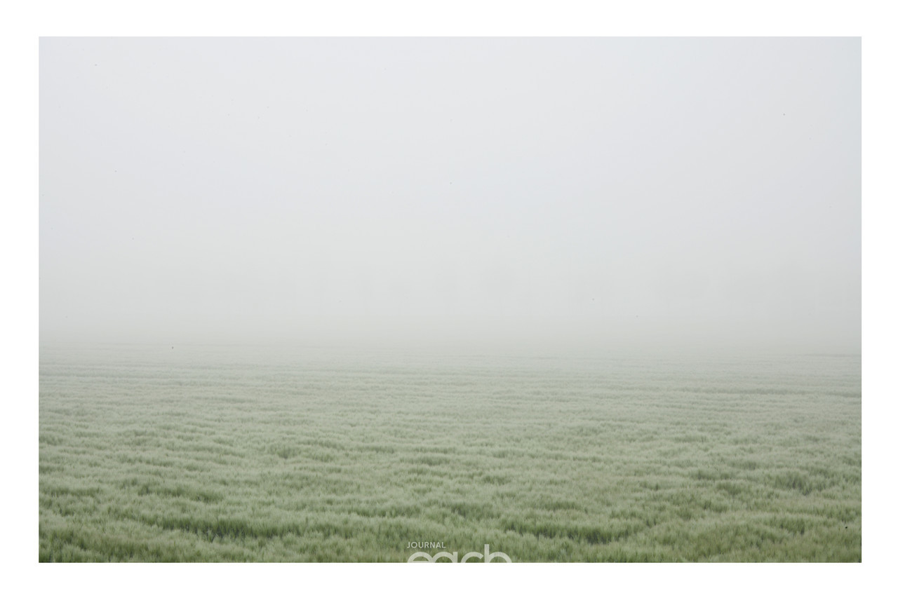 황임규 - 그리움