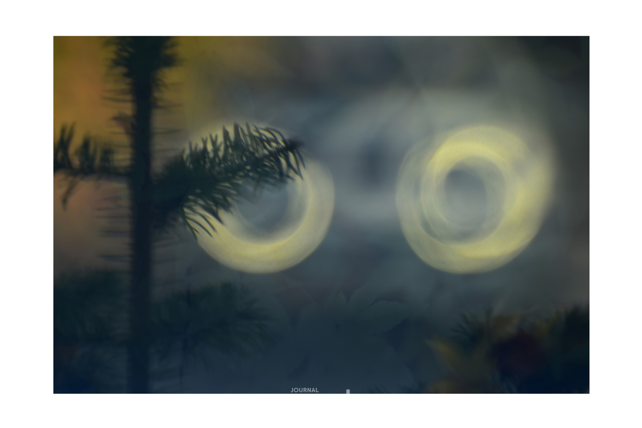 강필선 - 생명천 