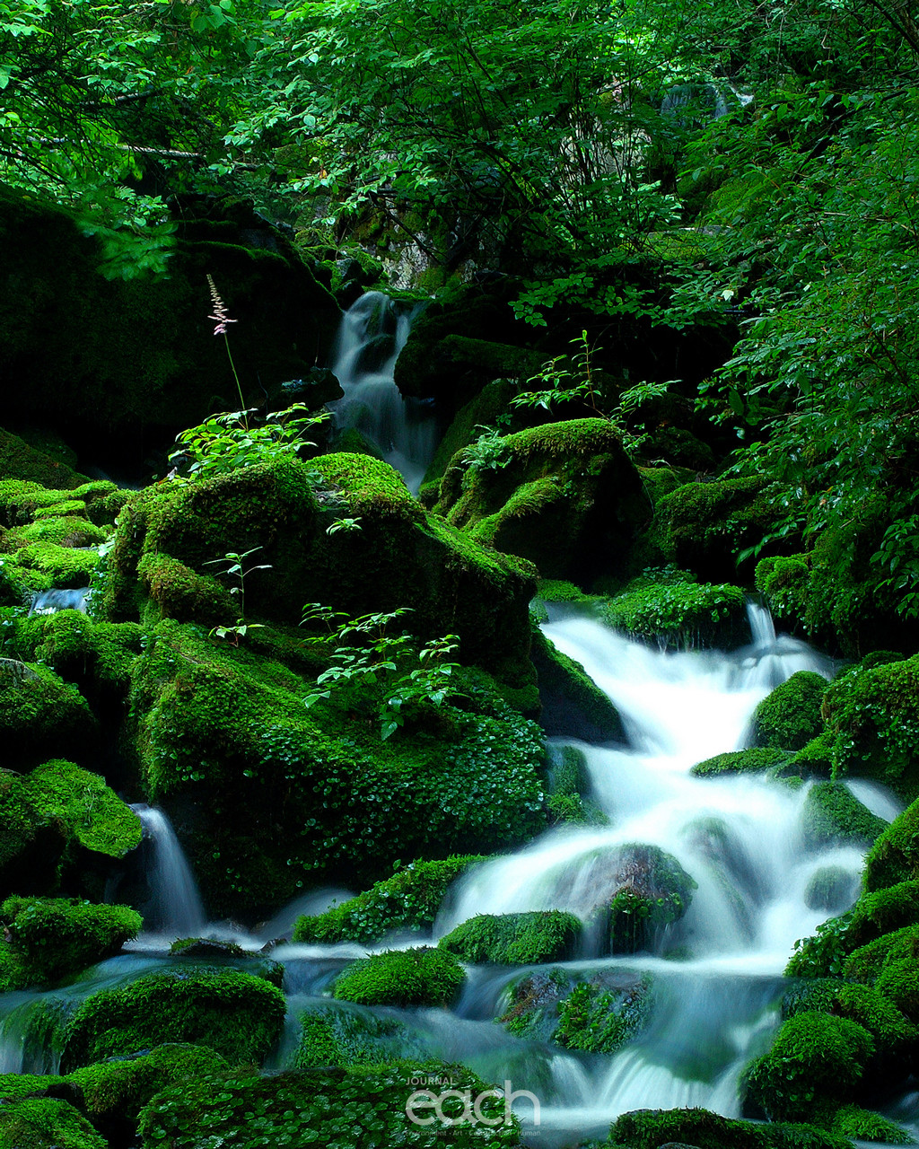 박인배 - 자연속으로