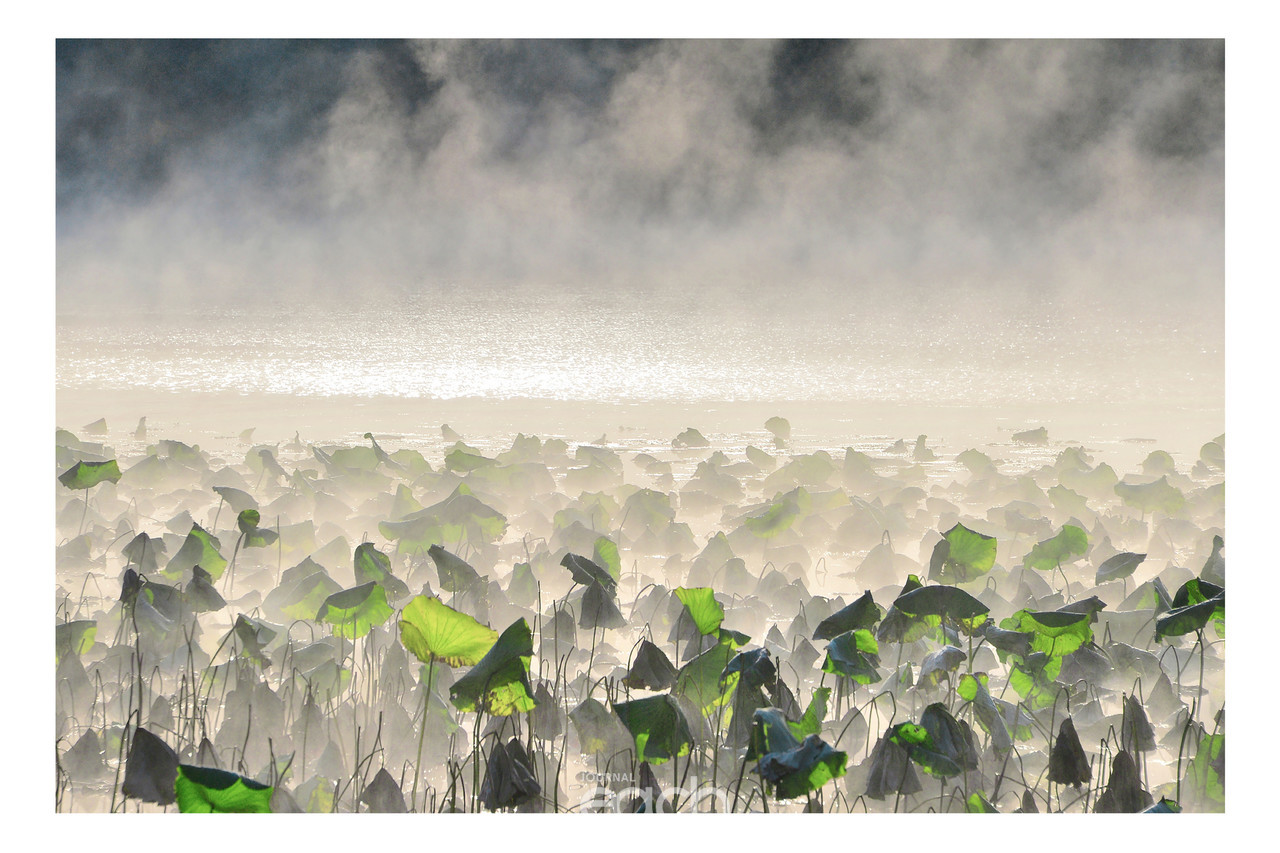 최영희 - 로미오와 줄리엣