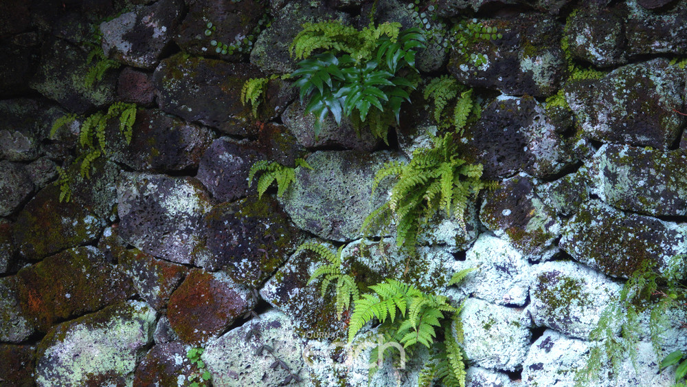 이미지제공 - 박미애 사진가