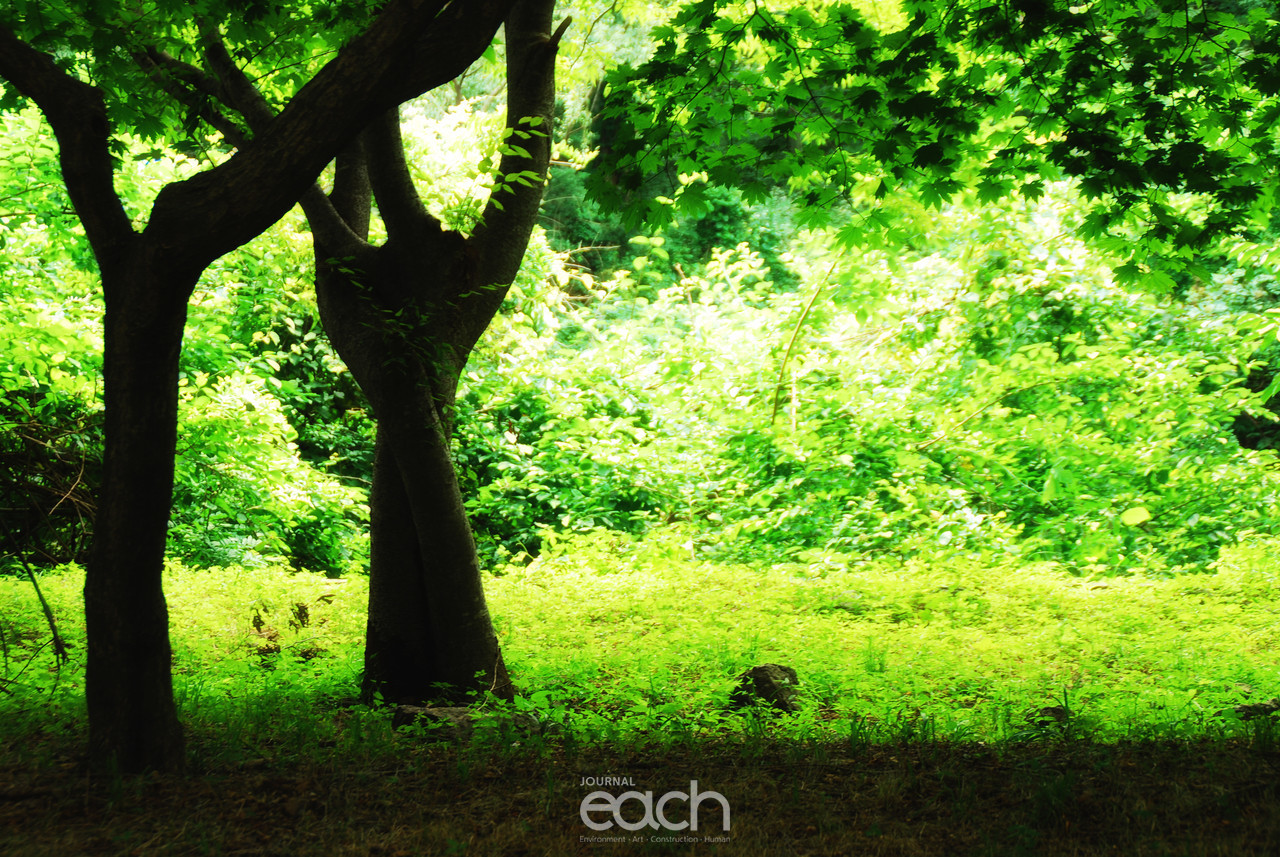 이미지제공 - 박미애 사진가