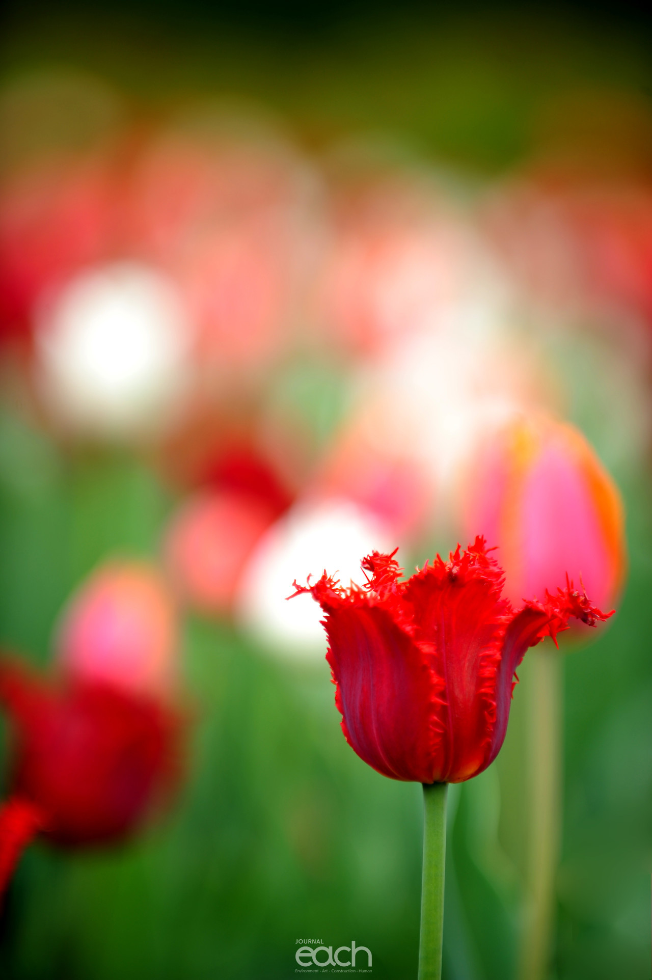 이미지제공 - 박미애 사진가