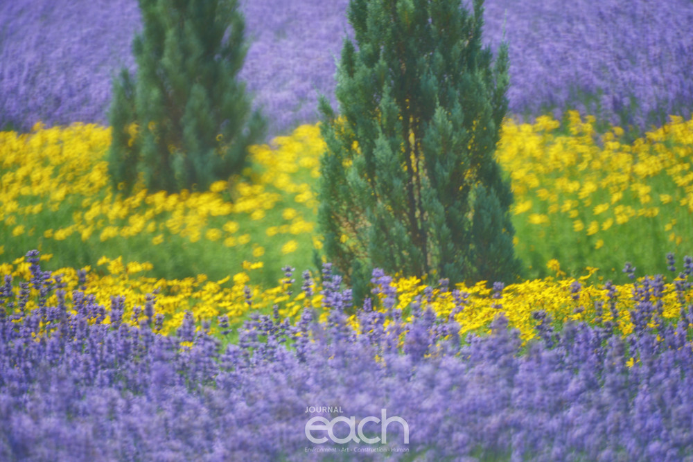 이미지제공 - 박미애 사진가