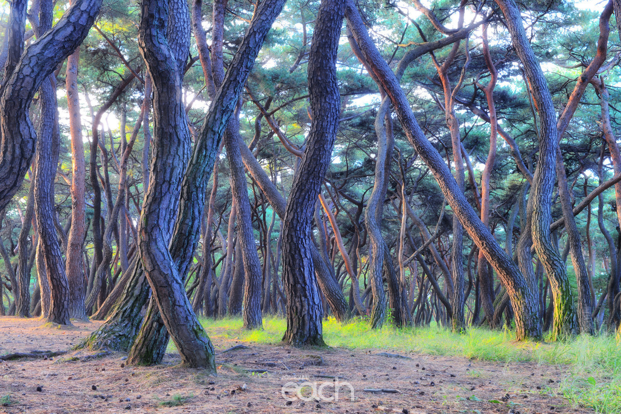 이미지제공 - 박미애 사진가