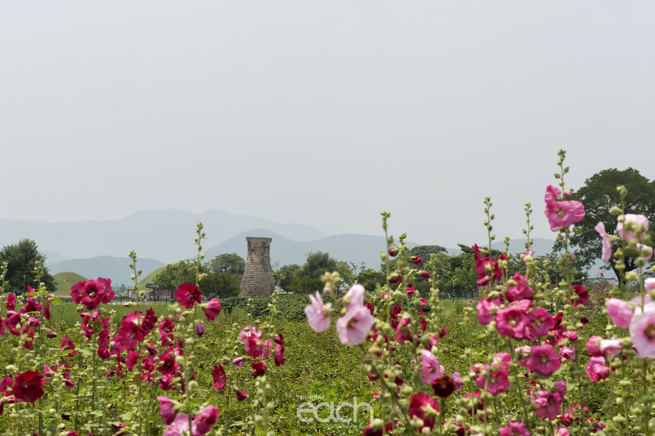 이미지제공 - 박미애 사진가