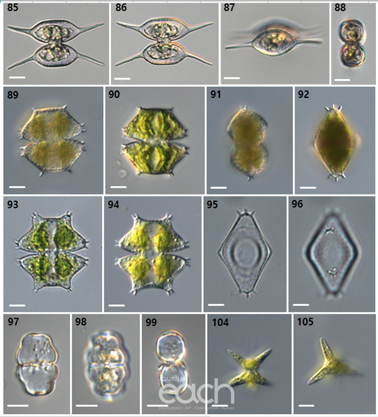 신종 등 주요 미세조류
