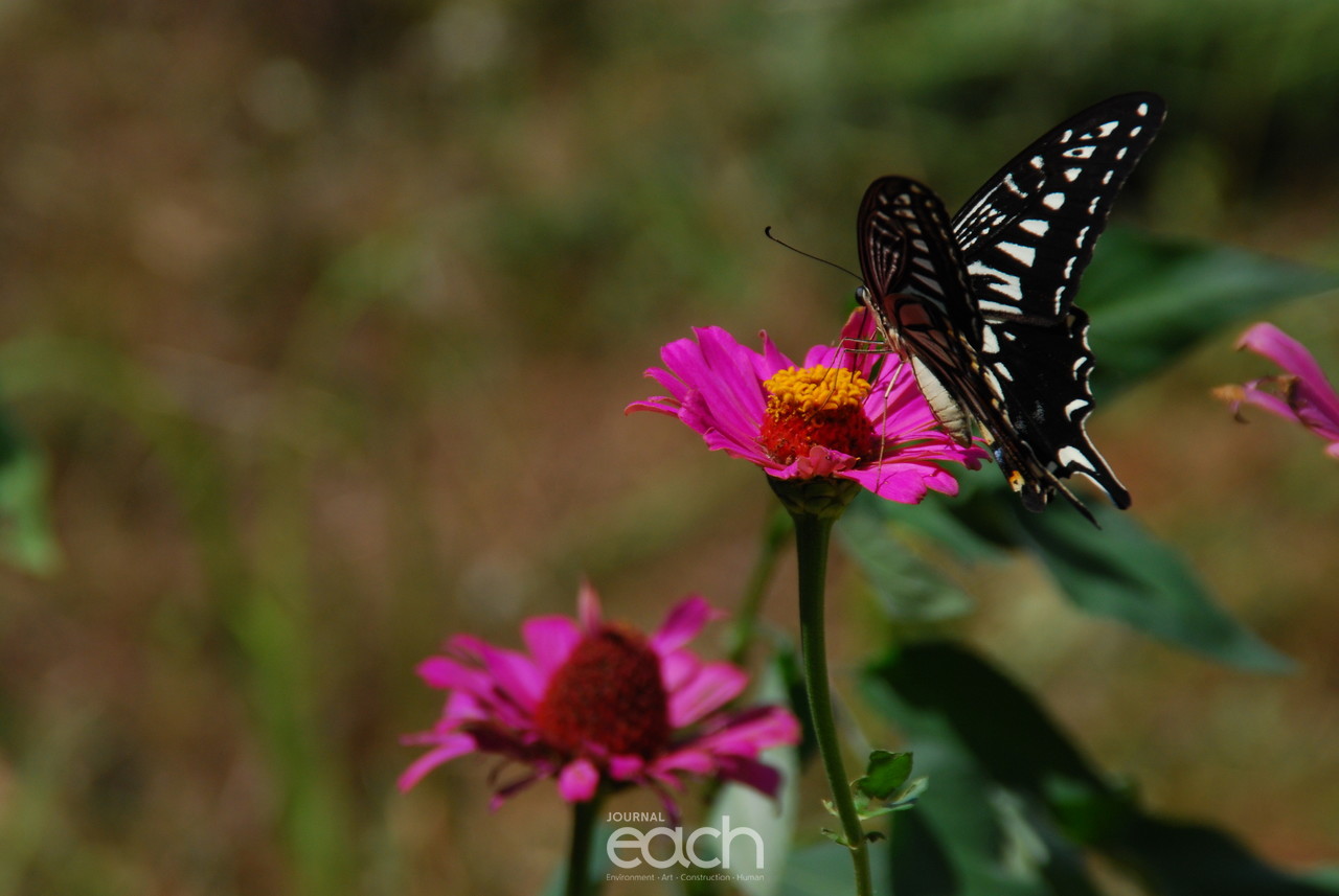 이미지제공 - 박미애 사진가