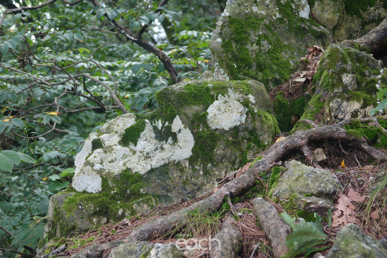 이미지제공 - 박미애 사진가