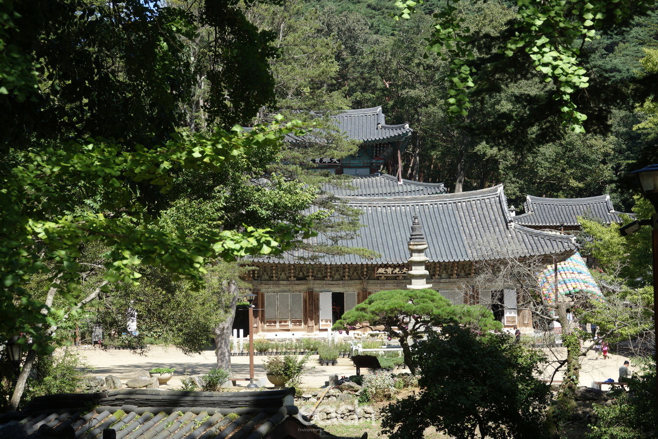 이미지제공 - 박미애 사진가