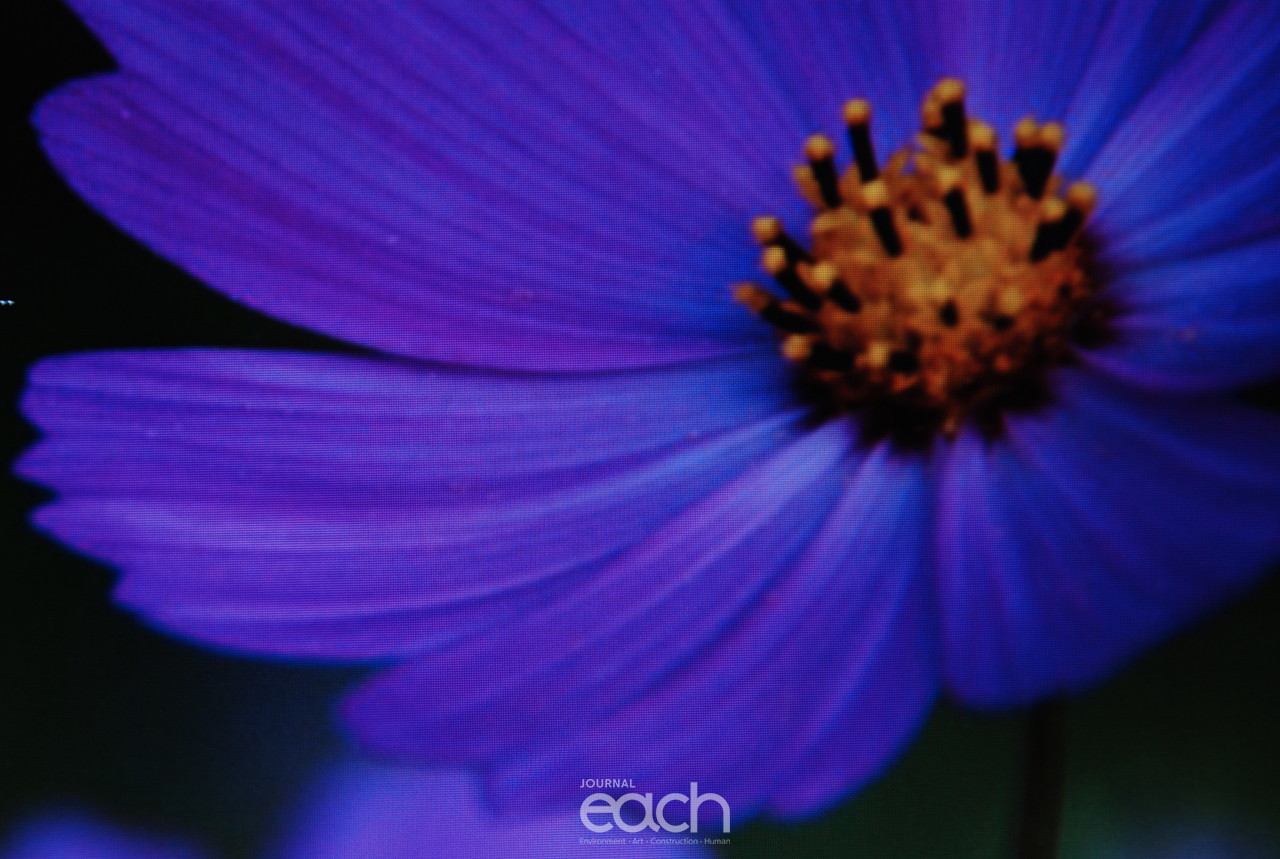 이미지제공 - 박미애 사진가