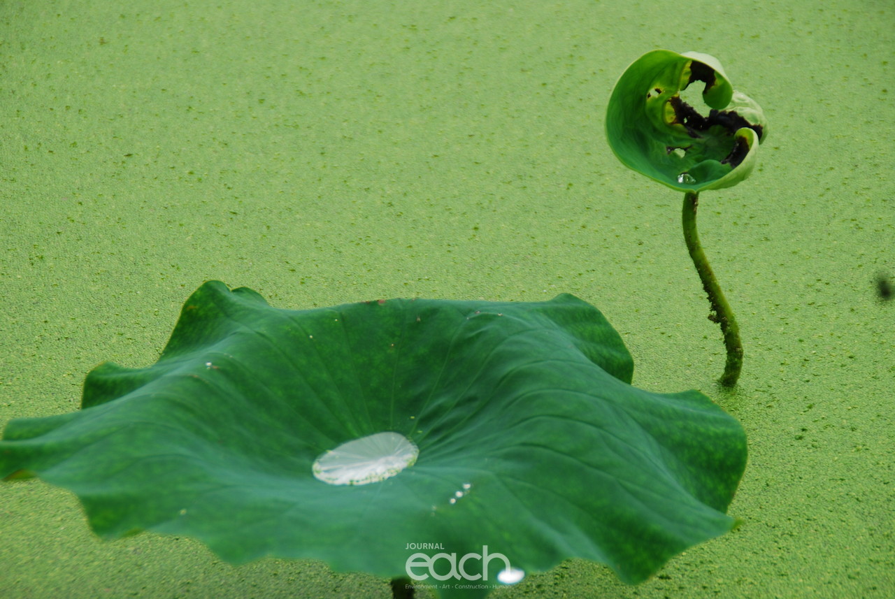 이미지제공 - 박미애 사진가