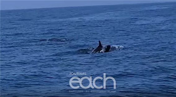 어미와 이동 중인 새끼 (이미지제공 - 국립공원공단)