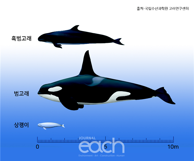 (이미지제공 - 국립공원공단)