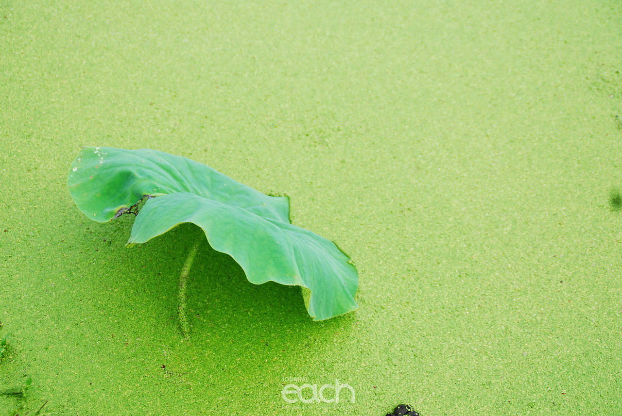 이미지제공 - 박미애 사진가