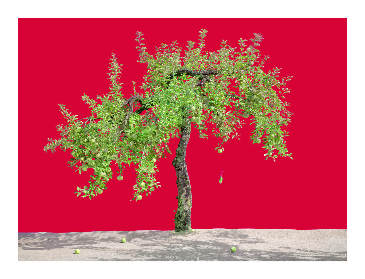 뉴튼의사과_1580X2064_Pigment Print_2018