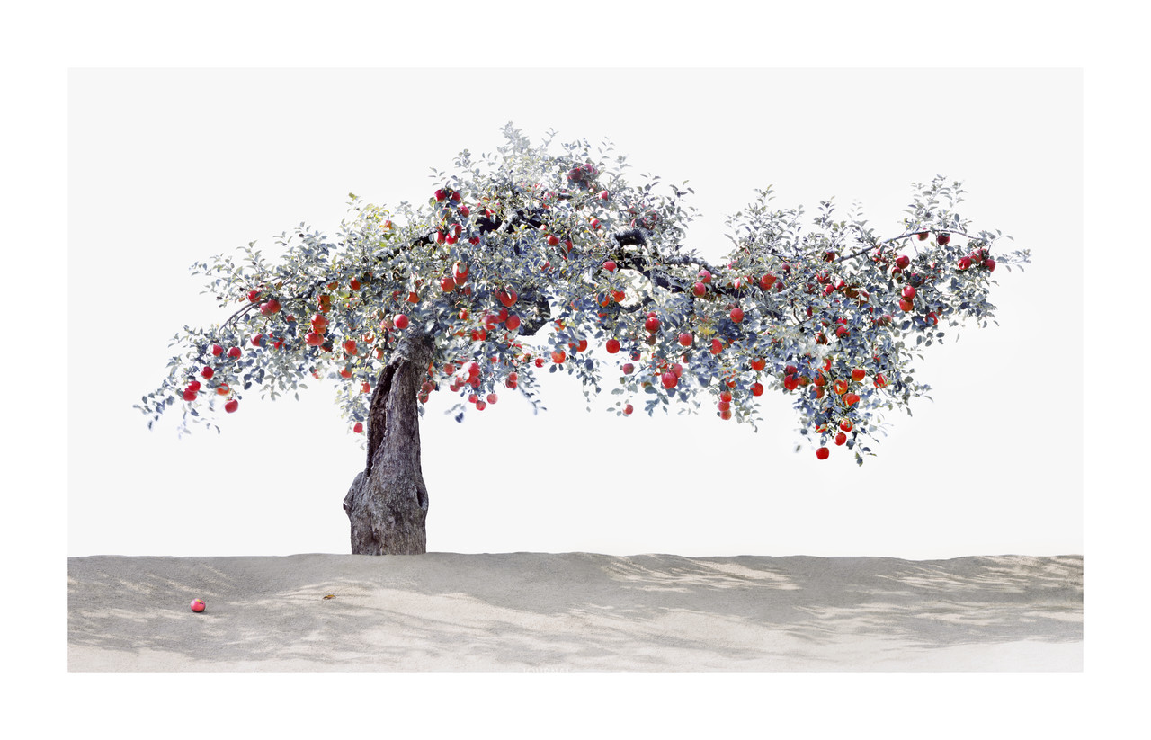 사과나무_240X15100_pigment rint_2015